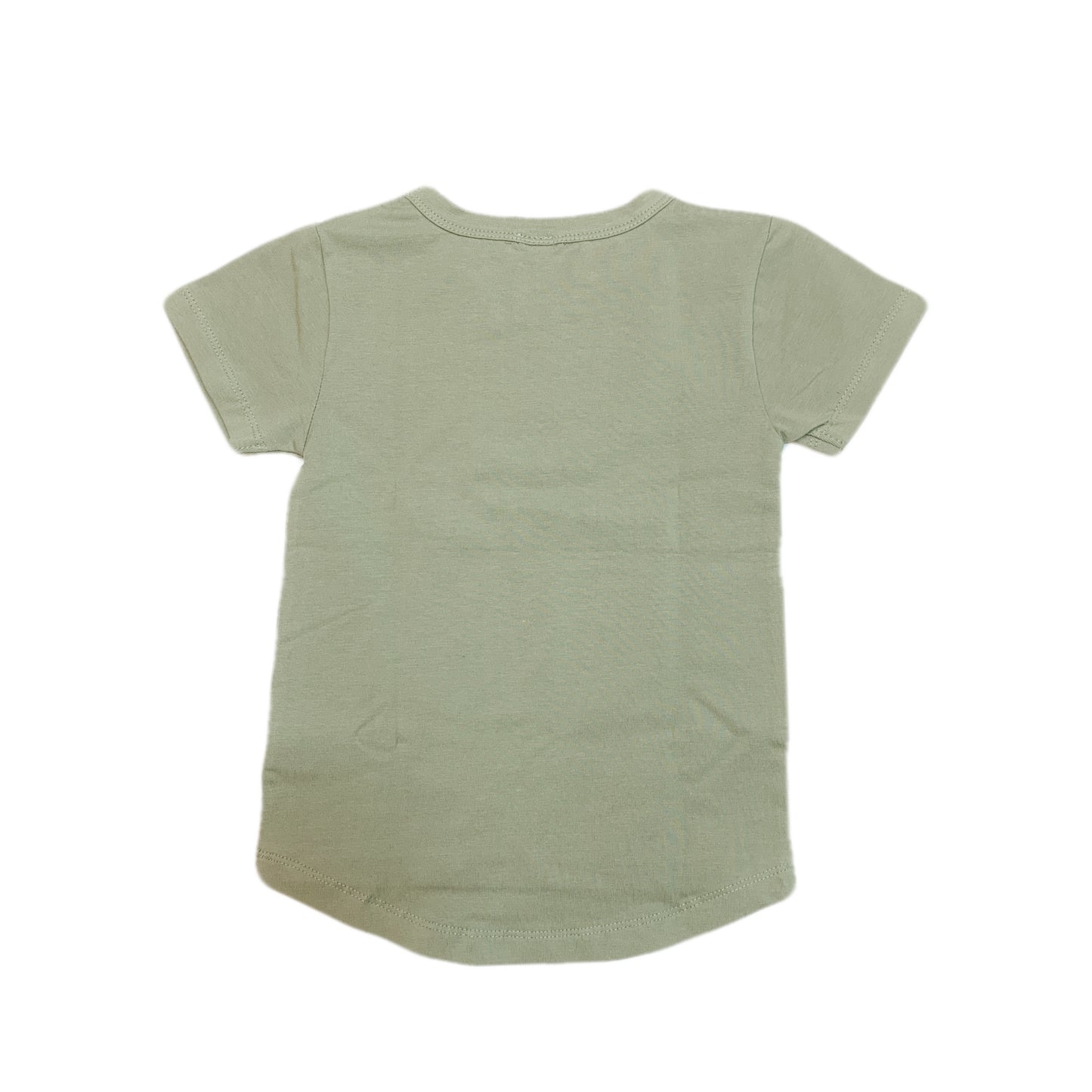 MUD PUDDLE JUMPER LONG BACK TEE - MINT